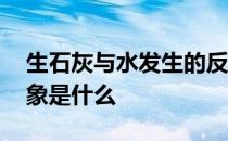 生石灰与水发生的反应 生石灰与水反应的现象是什么 