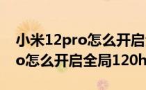 小米12pro怎么开启全局120赫兹 小米12pro怎么开启全局120hz 