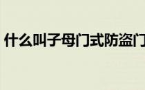 什么叫子母门式防盗门 谁清楚什么叫子母门 