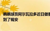 鹈鹕球员阿尔瓦拉多近日做客NBA节目期间他接受了采访谈到了锡安