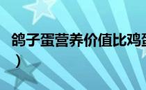 鸽子蛋营养价值比鸡蛋高吗（鸽子蛋营养价值）