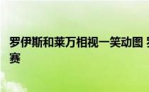 罗伊斯和莱万相视一笑动图 罗伊斯和莱万相视一笑是哪场比赛 