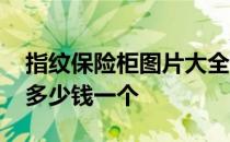 指纹保险柜图片大全 求大神说下指纹保险柜多少钱一个 