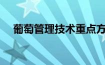 葡萄管理技术重点方法（葡萄管理技术）