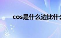 cos是什么边比什么边（cos是什么）