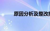 原因分析及整改措施（原因分析）