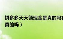 拼多多天天领现金是真的吗有风险吗（拼多多天天领现金是真的吗）