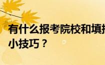 有什么报考院校和填报志愿的技巧吗？有哪些小技巧？