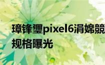 璋锋瓕pixel6涓婂競鏃堕棿 谷歌Pixel7屏幕规格曝光 