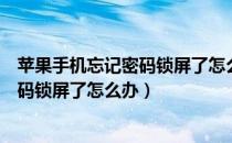 苹果手机忘记密码锁屏了怎么办不用电脑（苹果手机忘记密码锁屏了怎么办）