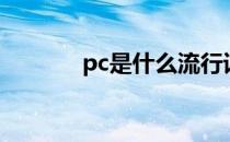 pc是什么流行词（pc是什么）