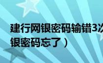 建行网银密码输错3次多长时间解锁（建行网银密码忘了）