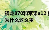 骁龙870和苹果a12 搭载骁龙870的小米12X为什么这么贵 