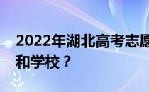 2022年湖北高考志愿可以分几批填多少专业和学校？