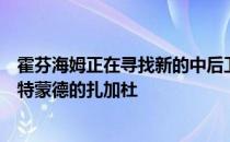 霍芬海姆正在寻找新的中后卫他们有意免签今夏刚刚离开多特蒙德的扎加杜