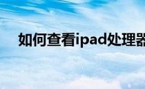 如何查看ipad处理器（如何查看ie版本）