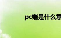 pc端是什么意思（pc肌肉）