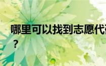 哪里可以找到志愿代码查询2022的专业代码？