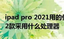 ipad pro 2021用的什么处理器 iPadPro2022款采用什么处理器 