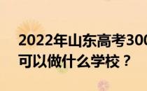 2022年山东高考300分可以做什么？300分可以做什么学校？