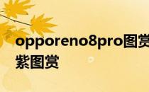 opporeno8pro图赏 OPPOReno8Pro花仙紫图赏 