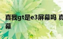 真我gt是e3屏幕吗 真我GT2是E4还是E5的屏幕 