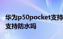 华为p50pocket支持无线吗 华为P50Pocket支持防水吗 