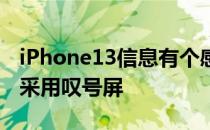 iPhone13信息有个感叹号 iPhone15全系将采用叹号屏 