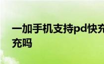 一加手机支持pd快充吗 一加AcePro支持快充吗 