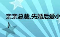 亲亲总裁,先婚后爱小说（亲亲总裁 先上后爱）