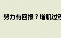 努力有回报？增肌过程中应注意的五个要点