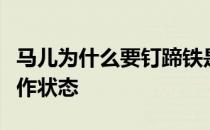 马儿为什么要钉蹄铁是否能重新适应裸足的工作状态