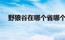 野狼谷在哪个省哪个地方（野狼谷在哪）