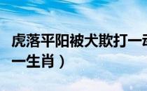 虎落平阳被犬欺打一动物（虎落平阳被犬欺打一生肖）