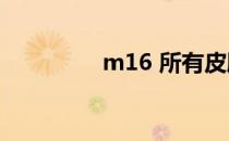 m16 所有皮肤（m16 s）