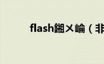 flash鎺ㄨ崘（非主流flash模块）