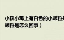 小孩小鸡上有白色的小颗粒是怎么回事（小鸡上有白色的小颗粒是怎么回事）