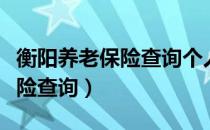 衡阳养老保险查询个人账户查询（衡阳养老保险查询）