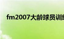 fm2007大龄球员训练（fm2007修改器）