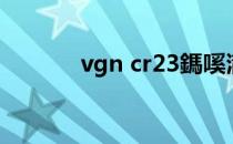 vgn cr23鎷嗘満（vgn cr23）