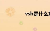 vsb是什么意思（vsb）