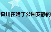 森川在哈丁公园安静的星期天下午锁定了冠军