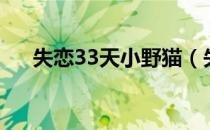 失恋33天小野猫（失恋33天小说结局）