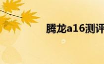 腾龙a16测评（腾龙a16）