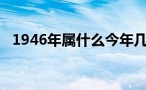 1946年属什么今年几岁（1946年属什么）