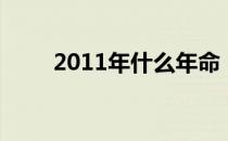 2011年什么年命（2011年什么年）