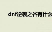 dnf逆袭之谷有什么用（dnf逆袭之谷）