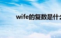 wife的复数是什么（wife的复数）