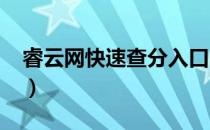 睿云网快速查分入口2021（睿云网快速查分）