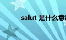 salut 是什么意思（salut法语）